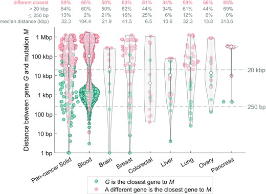 Long-range interactions are involved in the majority of non-coding regulatory driver candidates. (A) Each dot represents one mutation-gene pair (mutation M and a gene G), for all the non-coding regulatory driver candidates (52 genes in solid cancers and 86 genes in blood cancer). The violin plots show the distribution of distance from the mutation M to the transcription start site (TSS) of the gene G. Only high-CADD mutations in the regulatory space of gene G are considered. One mutation can be present in more than one pair. The pairs are colour-coded according to whether the gene G in the pair is the closest gene to the mutation M (teal colour), or if a different protein-coding gene is closer to the mutation M (salmon colour), using the distance to the TSS of the gene. The four rows of numbers on top of the plot represent the average values across the group and the median M–G distance (kb).