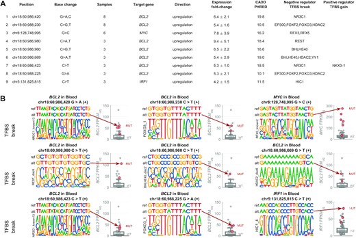 List of top 9 mutated positions with potential to act as non-coding regulatory drivers in DLBCL via disruption of transcriptional repressor TFBS. (A) The list of the 9 mutated positions (hg19), the base change (alternative allele), number of DLBCL samples with this mutation, the target gene they are predicted to regulate, the direction of the effect (all upregulated in mutated samples here), average and standard deviation of the expression fold-change between the mutated samples and median expression of the wild-type samples (FPKM-UQ), average CADD PHRED value, negative regulator TFs predicted to have binding disrupted by the mutation, and positive regulator TFs predicted to have binding created by the mutation. (B) Genomic visualisation of the 9 top hits. In each example, the top row represents the reference sequence, the second row represents the mutated sequence (with the alt-allele base), and the bottom row represents the motif that is disrupted by the mutation (the motifs are from ENCODE-motifs). The mutated position is highlighted by grey background. The boxplot on the right-hand side of each example shows the distribution of the target gene expression in the wild-type samples, while the red circles represent the expression level in the samples with the depicted mutation.