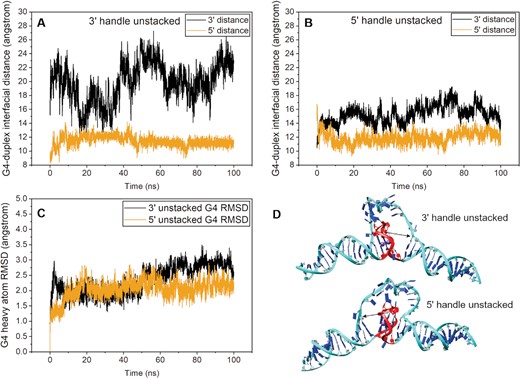 Molecular dynamics analysis of DGD starting from 5’ or 3’ duplex handles ‘unstacked’ from G-tetrad interface. (A and B) Plots of residue-residue distances for the 3’ handle unstacked (A) and the 5’ handle unstacked (B) simulations. In each case the distances plotted are between the central G-tetrad of the G-quadruplex and complement thymine residues of the base pair closest to the stacking interface. (C) G4 residue RMSD plots of heavy atoms. (D) starting models for each simulation with red indicating the G4 residues and black arrows indicating the distance being measured in each case.