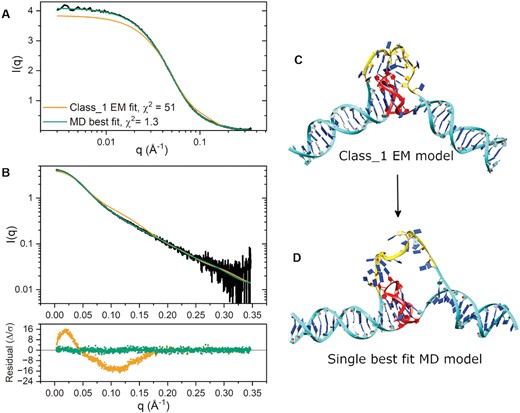 CRYSOL fits to SAXS scattering. (A) SAXS scattering and model fits shown on a linear-log scale to emphasize differences in scattering at very small angles. (B) SAXS scattering and model fits shown on a log-linear scale with corresponding residual plot. (C) class_1 refined DGD model. (D) Best fit class_1 loop MD DGD model. (D) Single best fit explicit solvent MD DGD model.