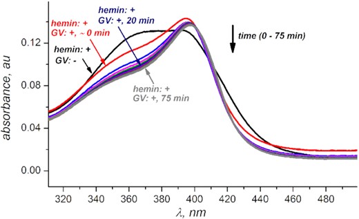 Bathochromic shift and increase in intensity of hemin's Soret band indicates hemin's de-aggregation upon interacting with G-quadruplex V. Data for other quadruplexes indicate to a similar trend (Supplementary Figure S2). Hemin concentration is 1 μM, GV concentration is 500 μM in PBS buffer at pH 7.50.