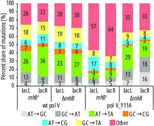 Share of different types of mutations in mutational spectra of pol V and pol V_Y11A. Base substitutions: transition mutations are in grey while transversions are in various colors. Other mutations: indels, complex mutations and IS element insertions.