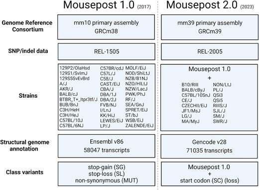 Schematic representation of the differences between Mousepost 1.0 and Mousepost 2.0, the updated version described in this work.