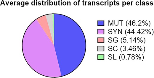 Distribution of types of variations found in transcripts across all classes. This is the total distribution of transcripts across all included strains (and compared to C57BL/6J). MUT, non-synonymous mutation; SYN, synonymous mutation; SG, stop gain; SC, start codon variant; SL, stop loss.