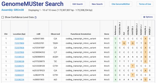 GenomeMUSter search results page. The results table includes chromosome, location (bp), rsID, observed alleles, functional annotation, gene and known and imputed SNP calls for, in this case, Collaborative Cross founder strains. The reference strain is B6Eve (12). Note the option to ‘Show confidence level data’ which provides a heat map. Users can select cut-offs using a handy slider (not shown), and the table will automatically update.