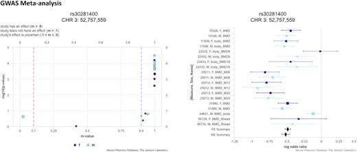 P–M plot (left) and Forest plot (right) for SNP rs30281400, circled in Figure 3. For a selected SNP, the P–M plot displays the individual measures’ P-values versus the m-values (posterior probability the effect exists in the measure) (22). The m-value distinguishes measures where the effect exists (m-value ≥ 0.9), measures where the effect does not exist (m-value ≤ 0.1), and measures where the effect is uncertain (0.1 < m-value < 0.9). The Forest plot shows effect size (midline), standard error (bars), and study size (size of box) on a log odds ratio axis for all measures in the analysis. Data are color coded based on sex.