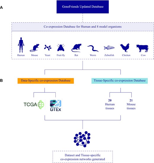 GeneFriends: gene co-expression databases and tools for humans and ...