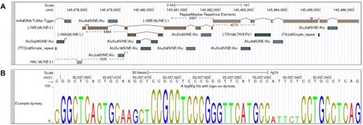 (A) Full display mode in bigRmsk track. (B) dynseq display in full mode.