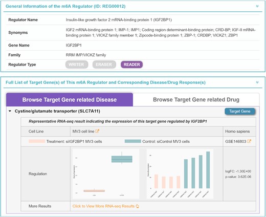 Quantitative description of the regulation pattern of target genes by m6A regulators. For a target gene and corresponding m6A regulator, the differential gene expression of the target gene in cells with treatment (knockout, knockdown and overexpression) and control cells was provided in the form of a bar chart and boxplot together with fold change and P-values, which were based on the RNA-seq data collected from the GEO. Detailed information such as cell line, species and experimental condition was also explicitly described. Pink, target gene expression of the cells with treatment; blue, target gene expression of the control cells.