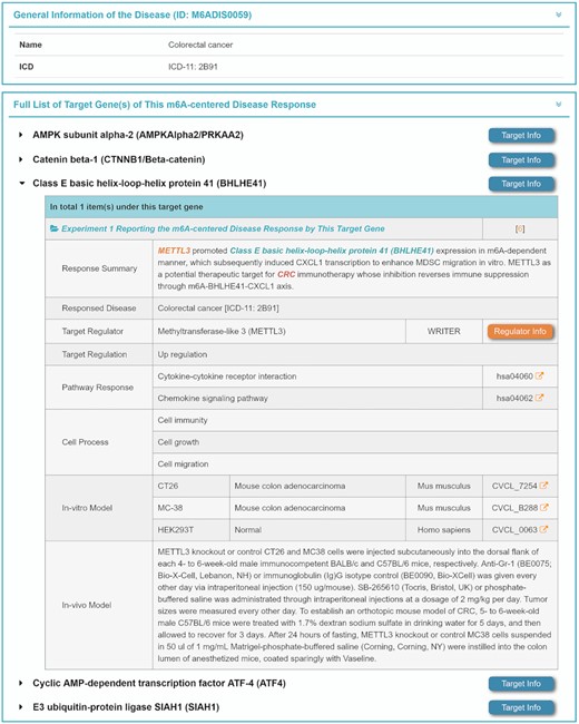 Regulation of target genes and pathways by m6A regulators in disease occurrence and progression. The detailed mechanism underlying m6A-centered disease responses is shown, which included a summary of disease responses, the m6A regulators involved, up-/down-regulation of target genes, regulated pathways, cellular processes and in vitro/in vivo disease models used. Extended descriptions can be accessed by clicking the corresponding differently colored buttons.