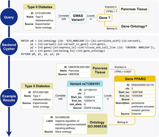 GenomicKB simplifies cross-modality analysis as queries over the knowledge graph. If a user is interested in relations between T2D and genes, then instead of searching multiple databases including GWAS, ENCODE and GO, a sub-graph query over GenomicKB returns all variants, genes and gene ontologies that satisfy the query criteria.