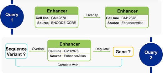 GenomicKB reconciles multiple data sources for the same problem, such as identifying enhancers and mapping enhancers to genes. Query 1 demonstrates how GenomicKB evaluates the consensus enhancers between CCRE and EnhancerAtlas. Query 2 illustrates how enhancer-gene mapping from EnhancerAtlas is validated by eQTL-gene pairs in GenomicKB.