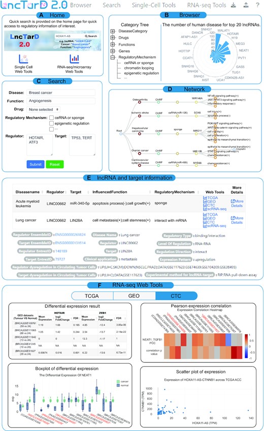Workflow and application of LncTarD 2.0. (A) The interface of the home module. (B) Browsing for all lncRNA–target regulations. (C) Search for all lncRNA–target regulations. (D) Network module for disease-associated lncRNA–target regulations. (E) The module contains detailed information about lncRNAs and target genes. (F) RNA-seq/microarray web tools characterize lncRNA–target regulations.