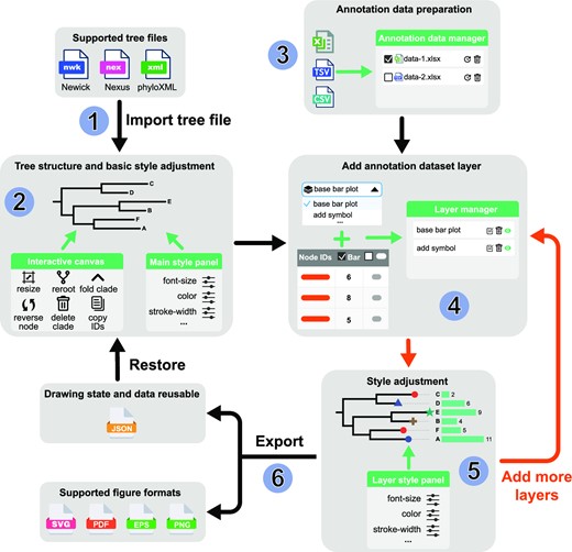tvBOT中的树可视化工作流：导入各种格式的树文件（步骤1）；调整树结构和基本样式（步骤2）；在一个或多个表中组织注释数据并上传（步骤3）；使用相应的数据列添加注释数据集层（步骤4）；对每个数据集层执行样式调整（步骤5）；导出图形并保存绘图状态（步骤6）。