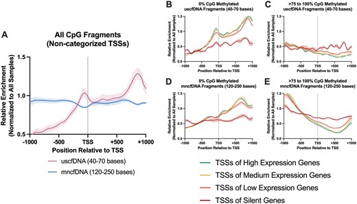 The patterns of CpG fragment enrichment -1000 bases upstream and + 1000 bases downstream from the transcription start site (TSS) differ among uscfDNA and mncfDNA fragments and correlate with gene activity. (A) uscfDNA fragments are enriched upstream from the average TSS compared to mncfDNA fragments. (B) The enrichment of 0% methylated uscfDNA and (D) mncfDNA fragments positively correlates with the TSSs of high expression genes, whereas the >75–100% CpG-methylated fragments are negatively correlated in the (C) uscfDNA and (E) mncfDNA fragments based on the RNA expression activity from RNA-Seq experiments on the buffy coat in previous literature. High expression >41.07 TPM, medium 15.36–41.06 TPM, low 1–15.36 TPM, and silent <0 TPM. Lines show five separate non-cancer samples processed by the 5mCAdpBS-Seq protocol. Enrichment was normalized to all samples in the comparison.