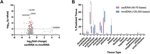 Differentially methylated regions show differences in genes and cell-of-origin. (A) Differentially methylated region analysis between merged uscfDNA and mncfDNA bam files from five samples, showing 68 significant DMRs (q-value < 0.01) and their closest gene. Only candidates with q-value <1.0 are shown. (B) Box and whisker plots of CelFiE deconvolution prediction of the blood cell tissue-of-origin signal from the methylation patterns in uscfDNA and mncfDNA. The prediction reveals that uscfDNA and mncfDNA are derived from blood cell DNA. Non-paired multiple paired t-tests were used to compare the percent contribution of cell type between uscfDNA and mncfDNA. * P< 0.05 (unadjusted). Errors bars indicate the min and max from five non-cancer samples that underwent the 5mCAdpBS-Seq protocol.