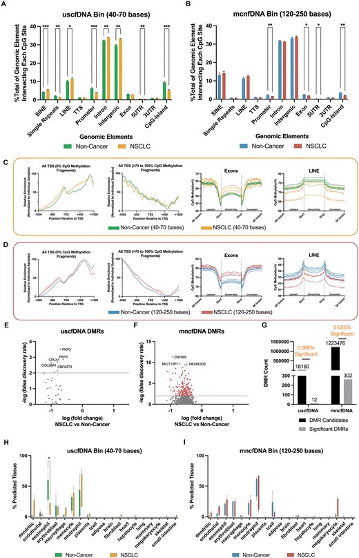 CpG coverage and methylation patterns differ between non-cancer and NSCLC samples. (A) The composition of different genomic element category locations where CpG site-containing read alignments were compared between the NSCLC and non-cancer samples for uscfDNA and (B) mncfDNA. (C) The pattern of enrichment of CpG fragments –1000 bases upstream and +1000 bases downstream and average CpG methylation% patterns from 5000 bases upstream and 5000 bases downstream of the body of the exon and LINEs differed among NSCLC and non-cancer samples for uscfDNA and (D) mncfDNA fragments. (E) Differentially methylated region analysis between merged uscfDNA and mncfDNA bam files from five non-cancer and four NSCLC samples revealed significant DMRs in the uscfDNA and (F) mncfDNA bins (q-value < 0.01, only candidates with q-value < 1.0 are shown). (G) uscfDNA has a higher proportion of significant DMRs than mncfDNA. (H) Box and whisker plot of the CelFiE deconvolution algorithm suggests changes in cell type composition between non-cancer and NSCLC samples for the uscfDNA and (I) mncfDNA-sized bins. * P< 0.05, ** P< 0.01, *** P< 0.001, Tukey's multiple comparison test after two-way ANOVA (A and B). For the CelFiE deconvolution, error bars represent min and max positions with individual samples and unadjusted non-paired Student t-tests. Data are presented as the mean and SEM of five paired non-cancer and four NSCLC plasma samples. * P< 0.05, ** P< 0.01, *** P< 0.001 (unadjusted).