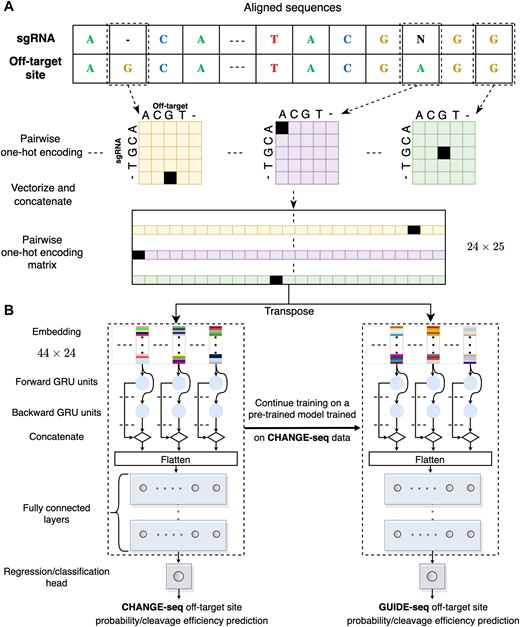 Predictive model overview. (A, B) Illustration of the GRU-Emb architecture and its training process. Given an aligned pair of sgRNA and off-target site sequences, the sequences are processed using pairwise one-hot encoding, and then the flattened positional vectors are stacked (A). Subsequently, the fixed-sized one-hot-encoding matrix is provided as input to the GRU-Emb classifier/regressor to predict the off-target site probability/cleavage efficiency (B). A transfer-learning approach utilizes the large-scale CHANGE-seq dataset to train a dedicated model for the GUIDE-seq data.