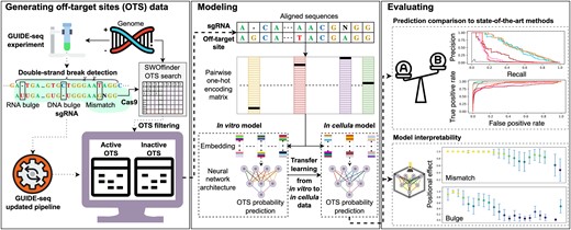 Graphical Abstract