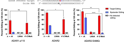 Site-specific inhibition of 3′ adjacent bystander editing in a therapeutic transcript employing 4′-C-methyladenosine (4′-C-MeA) and locked nucleic acid (LNA A). Top: 5′-UAA-3′ target RNA from the human protein phosphatase 2 regulatory subunit B’delta (PPP2R5D) E200K point mutation with the target adenosine (red) and 3′ flanking bystander edit site (blue). X: -1 sugar modification (rA, 4′-C-MeA or LNAA). Bottom: ADAR1p110, ADAR2 WT and hyperactive mutant ADAR2 E488Q editing at RNA:enzyme ratios of 5:50 nM at 120 min. Red bars represent % edited of target A and blue bars % editing of bystander site. Error bars represent the standard deviation of three technical replicates. A two-tailed Welch's t test was conducted, where *P < 0.05, **P < 0.01, ***P< 0.001; ns: no significant difference. ND: No detected editing.