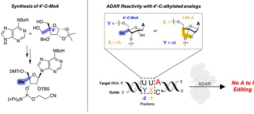 Graphical Abstract