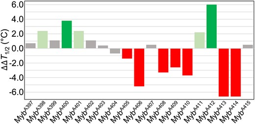 Bar graph depicting changes in c-KIT2 G4-stabilizing properties (ΔΔT1/2) of the indicated Ala-modified peptides with respect to Myb397–415, as determined by CD melting assay. The error in ΔΔT1/2 values does not exceed 0.8°C.