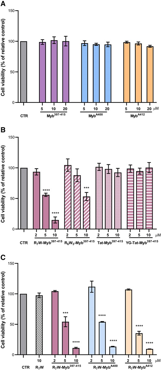 Selected peptides impair tumour cell viability. ALT-positive U2OS osteosarcoma cells were treated for 72 h with the indicated concentrations of the selected peptides, and cell viability was determined by crystal violet assay. (A) The Myb397–415 peptide and its derivatives (MybA400 and MybA412) were tested in their native form; (B) Myb397–415 was conjugated to four different CPPs (R6W3, R7W, Tat and YG-Tat) and the resulting molecules were evaluated; (C) Peptides were conjugated with R7W and the resulting derivatives (R7W-Myb397–415, R7W-MybA400 and R7W-MybA412) were tested. Results are expressed as the percentage of viable cells in treated samples over their untreated counterpart (CTR). Histograms show mean values ± SD of three independent experiments performed in triplicate; ***P< 0.001, ****P< 0.0001.