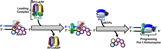 Graphical Abstract