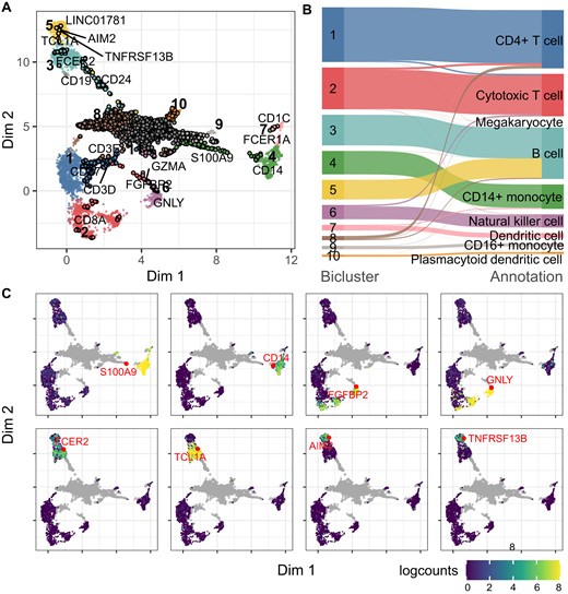 Application of CAbiNet on PBMC10x data. (A) Joint biMAP visualization of the cell–gene biclustering results by CAbiNet, with genes and cells from the same bicluster colored identically. Genes are black circles filled in with the color of the associated cell cluster and cells are smaller dots. Some known marker genes have been labeled manually. An interactive version of this Figure can be found in the Supplementary Data. (B) The agreement between the expert annotation and CAbiNet biclustering results is shown in the Sankey plot. (C) The expression levels and position of selected marker genes are shown on the biMAP. The grey points are genes and cells are colored by the log2-expression levels of genes highlighted in red. CD14+ monocytes marker genes S100A9 and CD14 in bicluster 4 are highly expressed in cells that co-clustered with them. The natural killer cells marker genes FGFBP2 and GNLY are highly expressed in the co-clustered cells in bicluster 6. FCER2 and TCL1A are highly expressed in bicluster 3, while AIM2 and TNFRSF13B are highly expressed in bicluster 5, indicating that cells in these two clusters are different B cell subtypes.