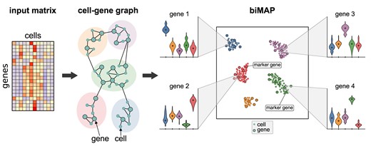 Graphical Abstract