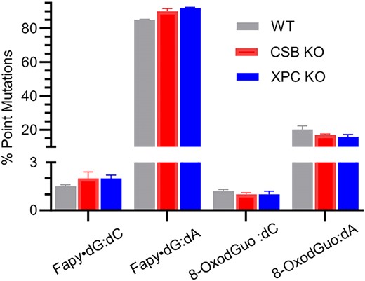 Percent point mutations from promoter dependent transcription of Fapy•dG and 8-OxodGuo in wild type and CSB or XPC knockout HEK 293T cells determined using the CTAB assay. (For statistical analysis see Supplementary Figure S15.)