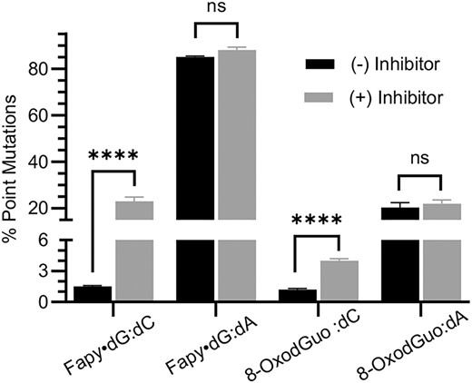 Effect of hOGG1 inhibition on percent point mutations from promoter dependent transcription of Fapy•dG and 8-OxodGuo in wild type HEK 293T cells determined using the CTAB assay. ns, no significant difference; ****P < 0.0001.