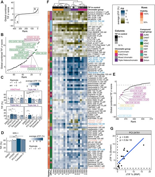 Drugs with strongest effects on TIF. (A) Global (average across all IPRs) change in TIF, ranked from highest increase to strongest decrease. Top and bottom 75 hits are highlighted in panels B and C, respectively. Black dots are samples with a significant global effect (Padj.< 0.01) in both screen replicates, grey dots are non-significant or only significant in one replicate. (B) Overview of the 75 strongest TIF-increasing drugs passing the viable cell count filter. The top 10 significant and reproducible hits are annotated and colored based on their target. Color code in F. (C) Effect of the strongest TIF-increasing drugs in additional heterochromatic loci. Displayed is the TIF of four different heterochromatic genomic loci (one H3K27me3-marked locus and three triple heterochromatin loci) treated with either vehicle, AT9283 (100 nM), PCI-24781 (100 nM), resveratrol (10 μM), or tubastatin A (10 μM). The color gradient indicates the average ΔTIF in percent. Symbols represent the different replicates, and the bar indicates the average TIF. TIFs were compared between DMSO-treated and drug-treated samples using paired t-tests, * indicates p < 0.05, ** P < 0.01. (D) TIF (average across IPRs) of RPE-1 cells treated with DMSO, AT9283 (100 nM), PCI-24781 (100 nM), or tubastatin A (10 μM). TIFs were compared between DMSO-treated and drug-treated samples using unpaired t-tests, ** P < 0.01, ***P < 0.001. (E) Strongest TIF-reducing drugs, included are only drugs with >70% relative viable cell count. (F) Heatmap of the local ΔTIF per IPR of all drugs significantly affecting at least one IPR (Padj.< 0.01). The rows are annotated with the relative viable cell count and drug target. The column annotation contains the chromatin domain and TIF in the control. The rows were clustered based on the average effect across all concentrations of the drug. Drugs discussed in the text that increase, decrease, or with mixed effects on TIF are highlighted in blue, green or orange, respectively. (G) Correlation between PCI-24781 (100 nM) TIF changes across all 19 IPRs in clone #5 in the screen and using Cas9 RNP delivery. Spearman's correlation coefficient (ρ) and P-value (P) are indicated in the figure.