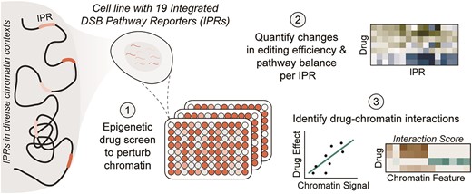 Graphical Abstract