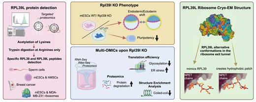 Graphical Abstract