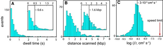 DNA Scanning Properties of EnHD. (A) Histogram of dwell times of the wild-type enHD on the λ-DNA. The inset shows the median dwell time as a vertical line on the section of the histogram up to 2 s. (B) Histogram of the distances scanned along the λ-DNA on single trajectories. The inset shows the median distance scanned as a vertical line on the histogram section up to 5 kb. (C) Histogram of the 1D diffusion coefficients (D) with median indicated as a thick vertical black line. The red arrow signals the sliding speed limit for enHD calculated with equation (1) and a = 1.7 nm and b = 3.4 nm.