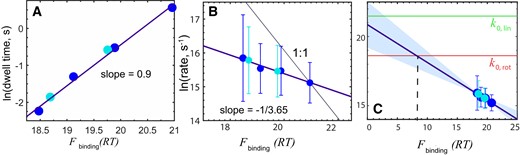 DNA scanning speed versus free energy of binding. Data obtained at different NaCl concentrations for the wild-type enHD (cyan) and Q50K mutant (blue) compared to binding strength to the λ-DNA in RT, calculated from the statistical mechanical model (38). (A) Experimental dwell times. (B) Natural logarithm of the experimental stepping rate in bp s−1 (converted from D with equation 3). The circles indicate the mean and the bars the standard deviation of all the trajectories measured at each experimental condition. The thick purple line is the linear fit with slope of -1/3.65. The thin black line shows the expectation for a 1 to 1 correspondence. (C) As in B but showing the extrapolation of the correlation all the way to zero binding free energy. The red horizontal line indicates the rotational sliding speed limit (as in Figure 4C) and the green horizontal line the limit for a linear 1D diffusion motion along the DNA with no friction. Both limits were calculated using a 1.7 nm hydrodynamic radius for enHD.