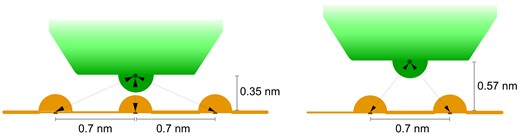 Microscopic model for promiscuous rotational sliding for EnHD. The left scheme represents the bound state with enHD shown in green and the DNA phosphate backbone in orange. The arrows represent the electrostatic interactions formed between one positively charged residue of enHD and the DNA phosphate groups. Because electrostatic interactions are long range, when the positive residue is perfectly aligned with one phosphate, it still has weak interactions with the flanking phosphate groups. This pattern should be roughly conserved for other positively charged residues at the interface. The right scheme represents a microscopic ‘transition state’ model for a sliding motion between two adjacent sites. In this ‘transition state’ model enHD is placed halfway between two phosphate groups and slightly detached from the DNA (by 0.23 nm) to break the promiscuous interactions with the bases and facilitate the motion. EnHD is still loosely associated to the DNA via a fraction of the electrostatic energy that stabilizes the DNA bound form. The distances and specific electrostatic interactions depicted here would result on an electrostatic attraction ${E_{sliding}} \propto ( {\frac{2}{{{r_s}}}} )\exp ( { - k{r_s}} )$, where ${r_s} = \sqrt {2 \cdot {{0.57}^2}}$, compared to the DNA bound electrostatic attraction ${E_{bound}} \propto ( {\frac{1}{{{r_1}}}} )\exp ( { - k{r_1}} ) + ( {\frac{2}{{{r_2}}}} )\exp ( { - k{r_2}} )$, where r1 is 0.35 and ${r_2} = \sqrt {{{0.35}^2} + {{0.7}^2}}$. For a Debye length of 1 nm, Esliding≈ 0.47 Ebound.
