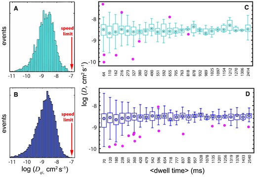 Heterogeneous DNA Scanning by EnHD. 1D diffusive properties of enHD wild type (cyan, panels A, C) and Q50K (blue, panels B, D) on the λ-DNA. The wild type data is at 25 mM salt and the Q50K data is at 50 mM salt. (A, B) Histograms of ‘quasi-instantaneous’ D (Dqi) obtained by binning all the 1D diffusive trajectories in 60 ms intervals. The sliding speed limit is shown with a red arrow. (B, D) Whisker plots showing the variation in trajectory-averaged D as a function of the trajectory duration. Whiskers show the end points, box edges the lower-upper quartiles, and dotted circles the bin medians. Purple circles are outliers.