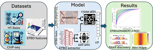 新しいAIモデルにより、疾患に関連するゲノミクスの予測力が向上(New AI model improves prediction power for genomics related to disease) 新しいAIモデルにより、疾患に関連するゲノミクスの予測力が向上(New AI model improves prediction power for genomics related to disease)