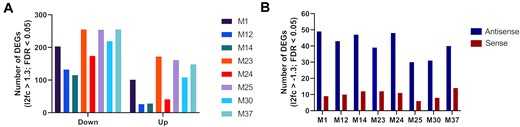 (A) Differentially expressed genes (DEGs) by RNA-sequencing with the number of downregulated genes on the left of the graph and upregulated genes to the right. (B) Number of downregulated DEGs with regions fully complementary to the seed sequence of antisense and sense strand of the miR-200c mimics versus the untreated control.