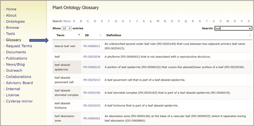 Plant Ontology glossary. Plant Ontology terms in the most recent release can be browsed and searched quickly in the interactive glossary format. The term name, PO identifier and definition are displayed. The PO identifier hyperlinks lead to the ontology browser.