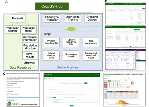 Overview of main modules and interfaces in CropGS-Hub. (A) Schematic diagram of data resource and online analysis in CropGS-Hub. (B) Interfaces of data resources. From up to bottom: interface for the information for each cohort, summary of GWAS associations, visualization of GWAS signals in JBrowse. (C) Examples of GS functional modules. From left to right: interface of SNPGT (windows version), job submission interface, the html-format result reporting interface.