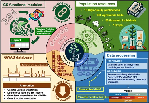 Graphical Abstract