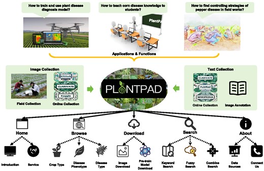 Graphical Abstract