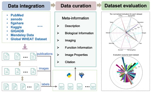 Data curation and dataset evaluation pipeline adopted by OPIA. The pipeline includes three critical steps. First, publications and datasets corresponding labels file are integrated from publicly available repositories. Then the information of all images and labels are filtered and extracted by the python scripts, and the meta-information of all datasets are manual curated from the publications. Third, all datasets are assigned an evaluation score based on ten indicators.