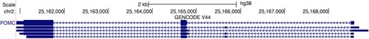 Illustration of the squishyPack display mode on the GENCODE gene set.