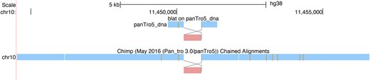 Illustration of Rearrangement Mode, displaying a region on hg38 chromosome 10 where a block is inverted in the pairwise alignment of a BLAT query sequence and in an alignment to Chimps chromosome 10.