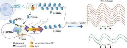 Graphical Abstract