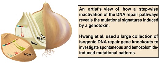 グリオブラストーマの化学療法耐性を克服するための道筋を探る(Charting a path toward overcoming glioblastoma resistance to chemotherapy) グリオブラストーマの化学療法耐性を克服するための道筋を探る(Charting a path toward overcoming glioblastoma resistance to chemotherapy)